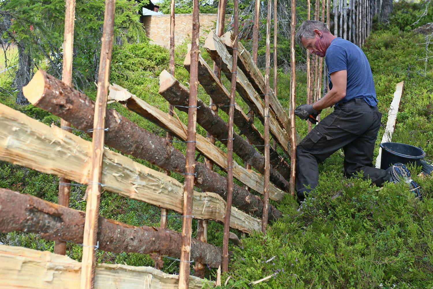 Bygg en nordisk gärdsgård Bygg en nordisk gärdsgård